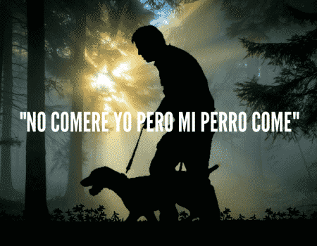 hombre paseando su perro en medio de un bosque